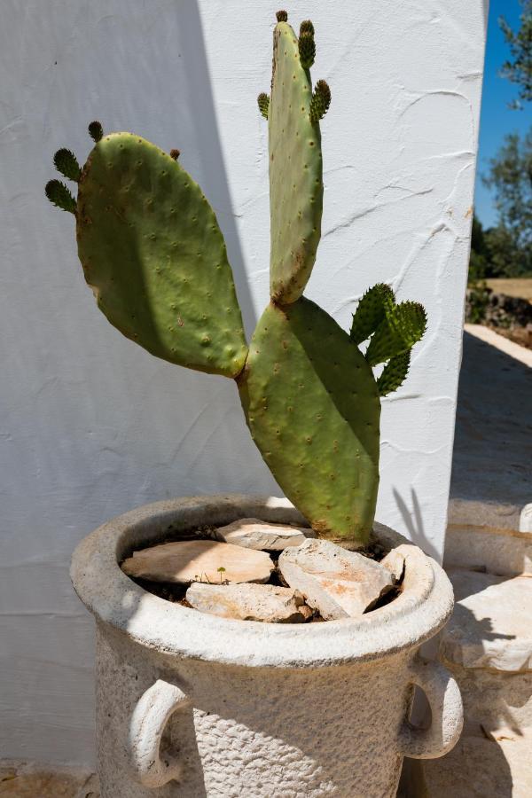 Il Trullo Della Rondinina Villa Alberobello Exteriör bild