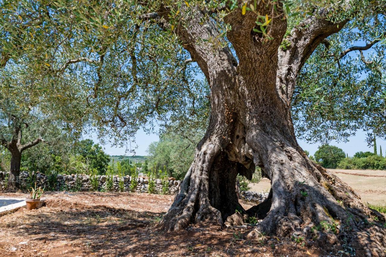 Il Trullo Della Rondinina Villa Alberobello Exteriör bild