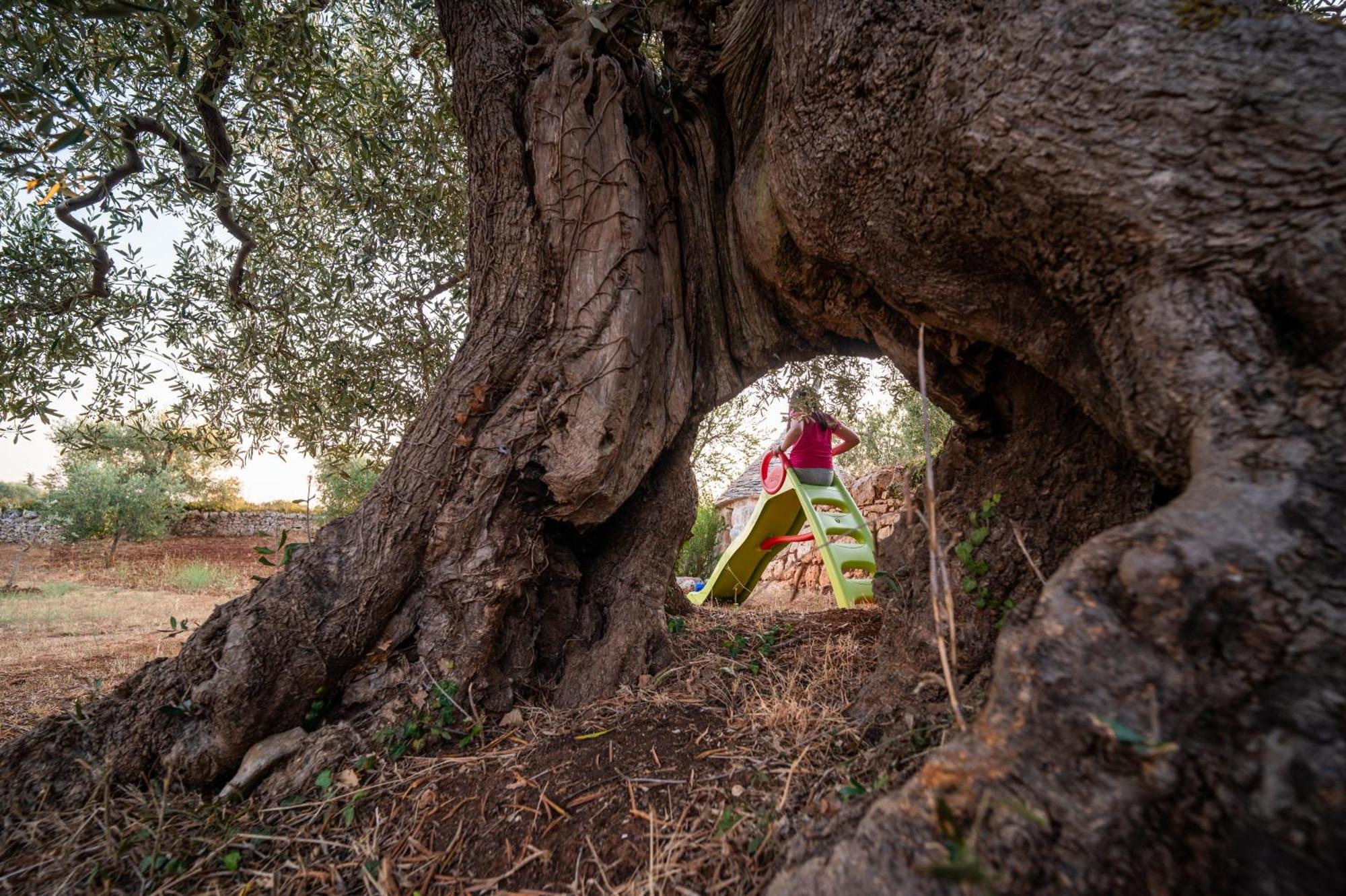 Il Trullo Della Rondinina Villa Alberobello Exteriör bild