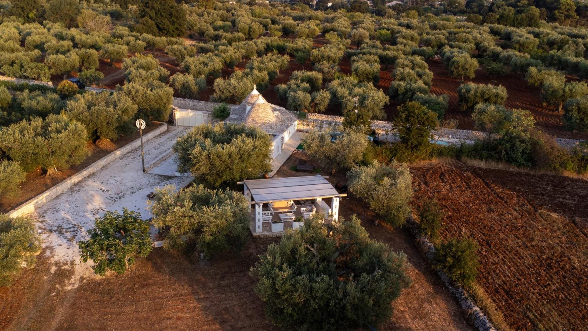 Il Trullo Della Rondinina Villa Alberobello Exteriör bild
